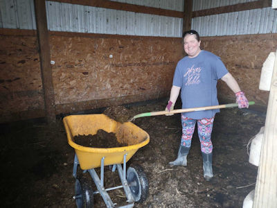 barn cleaning