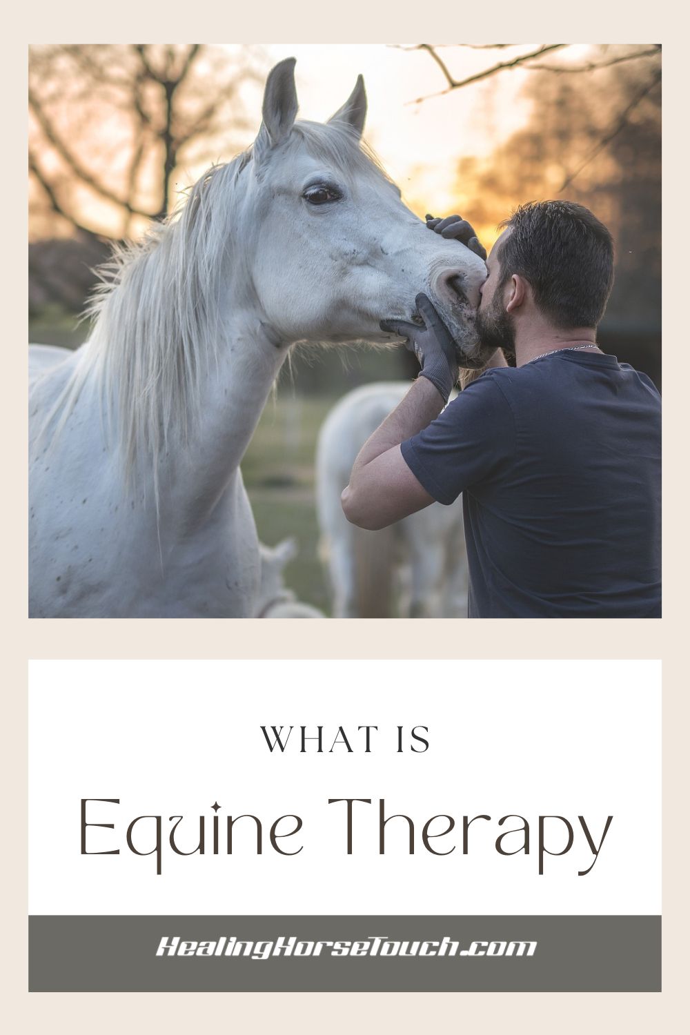 What is Equine Therapy