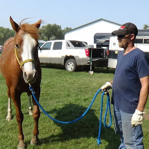 Bob and horse Chrissy