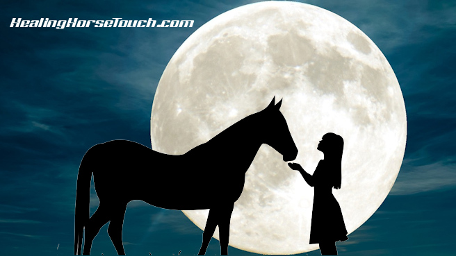 healing horse touch