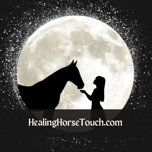 Healing Horse Touch