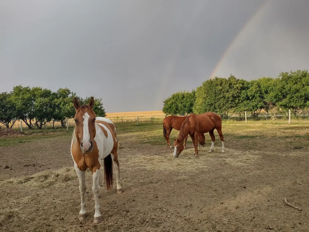double rainbow