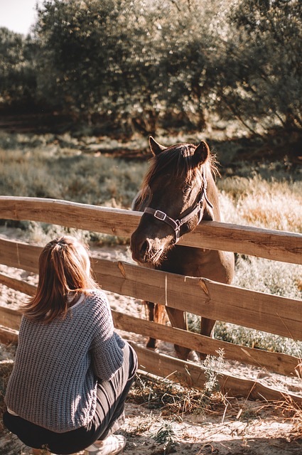 Horses as Healers