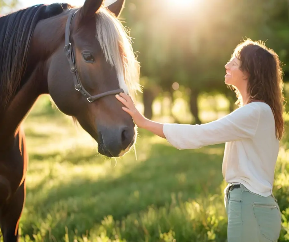 horse therapy