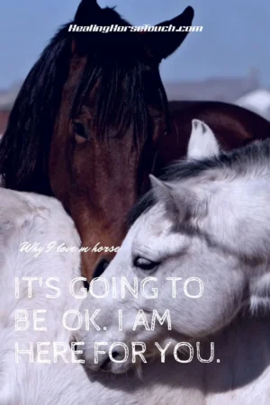 motivation