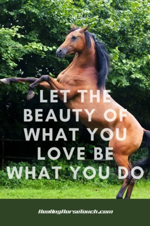 motivation