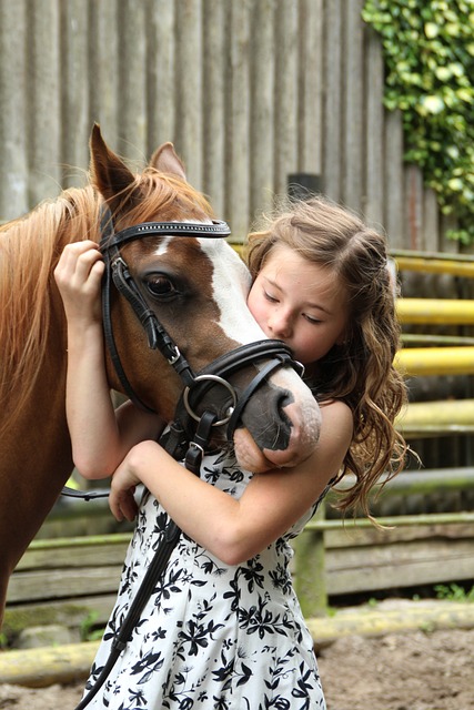 How Service Horses are Changing Lives for People with Disabilities