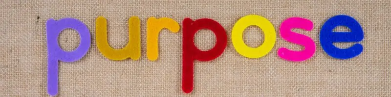 about us purpose purpose