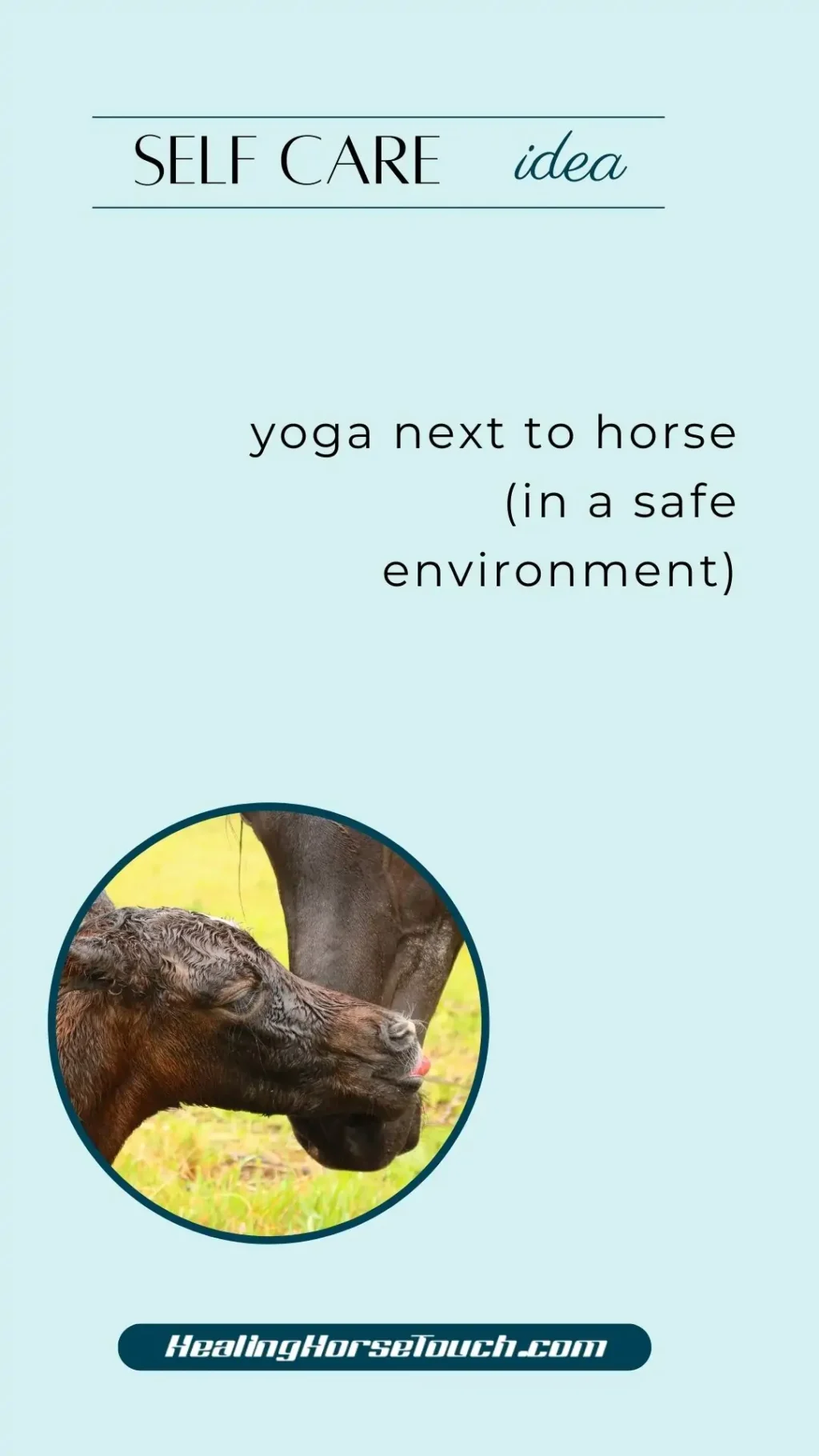 self care with horses