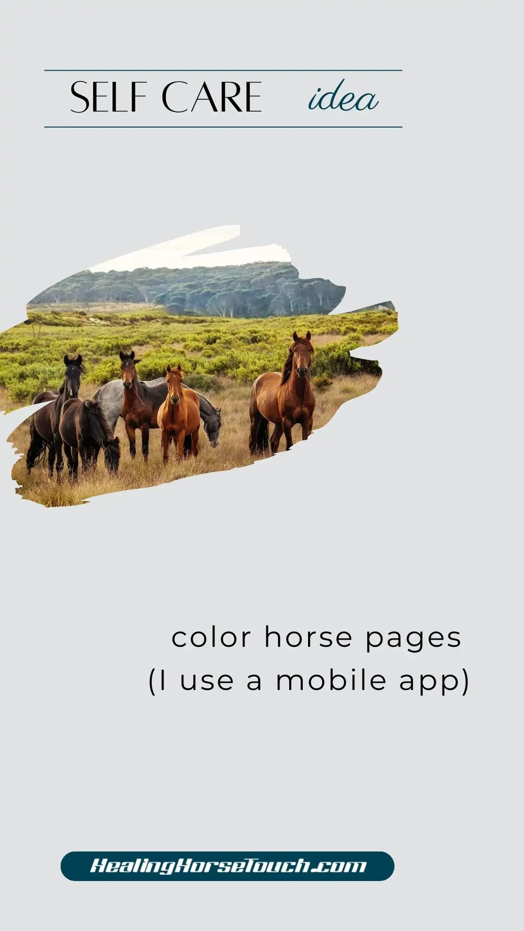 self care with horses