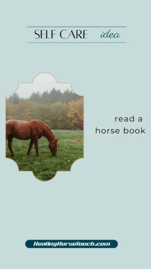 self care with horses