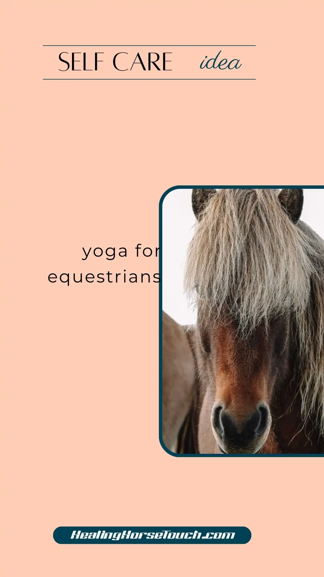 self care with horses