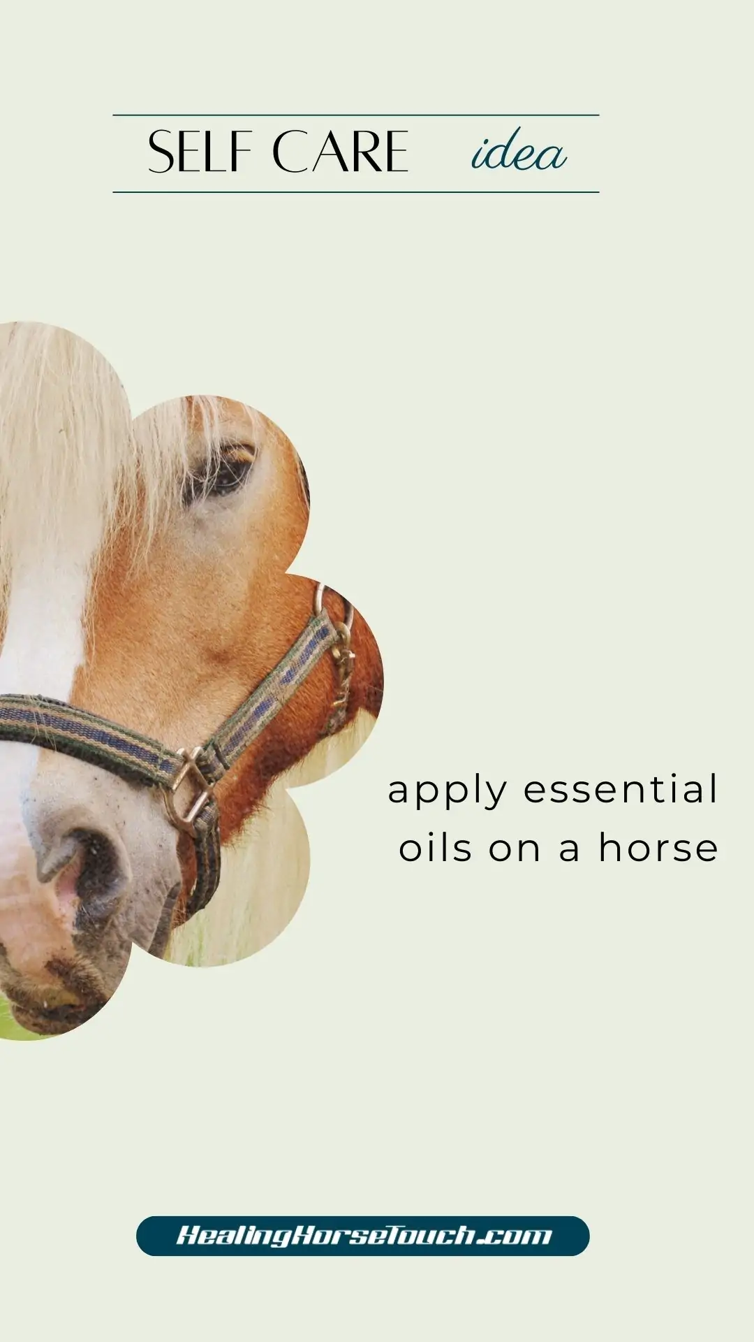 self care with horses