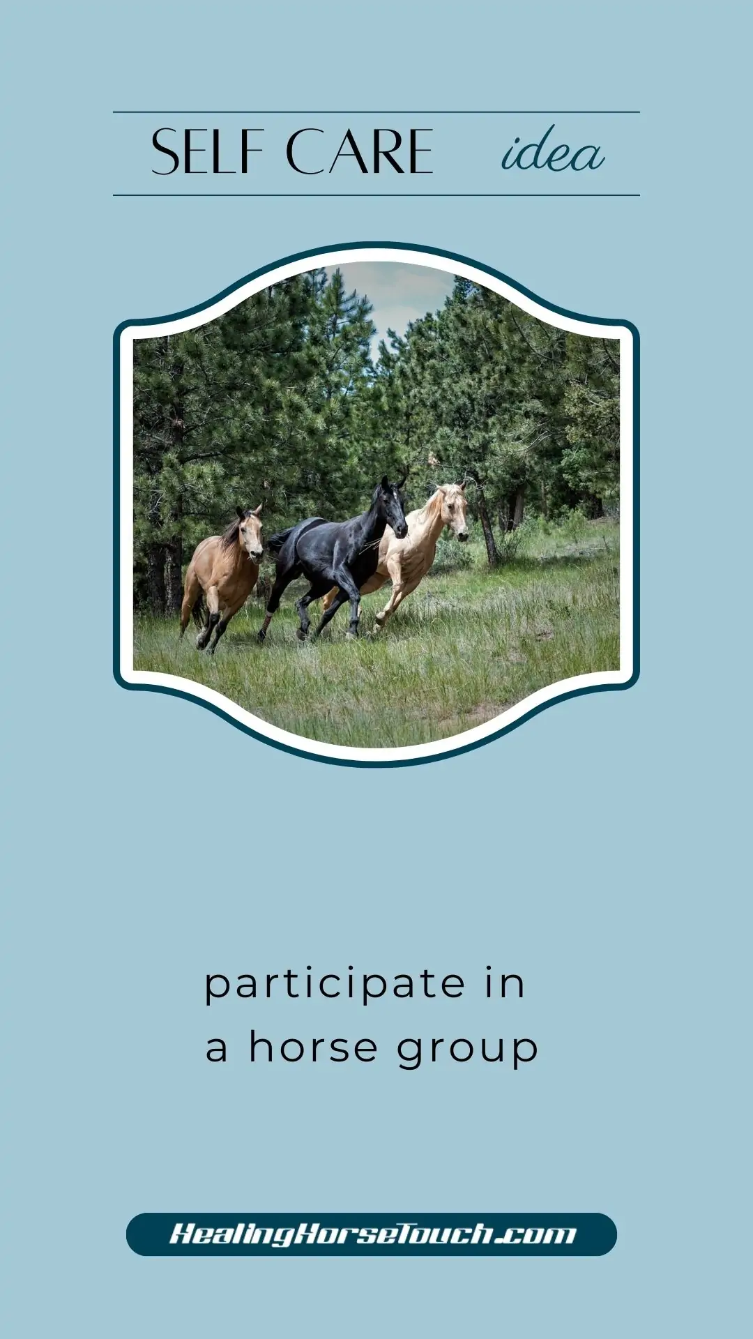 self care with horses