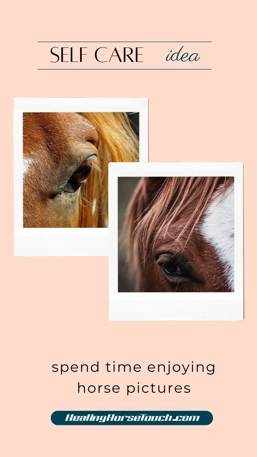 self care with horses